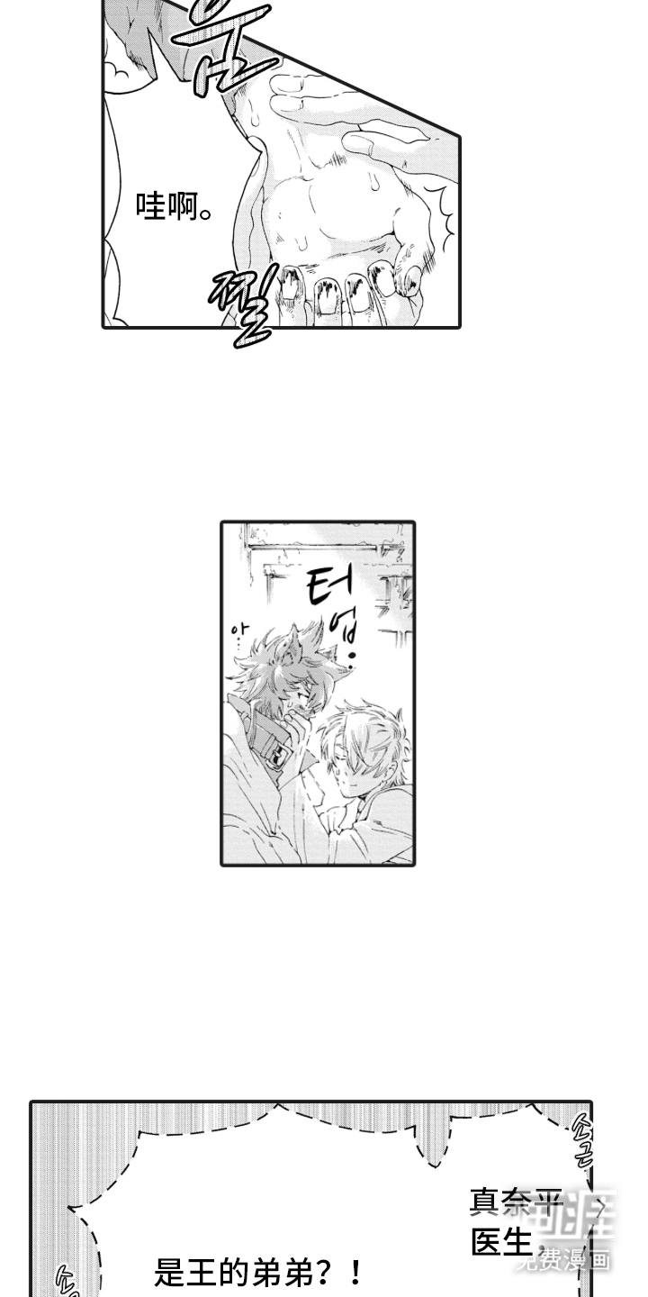 兽耳与听诊器漫画-图12