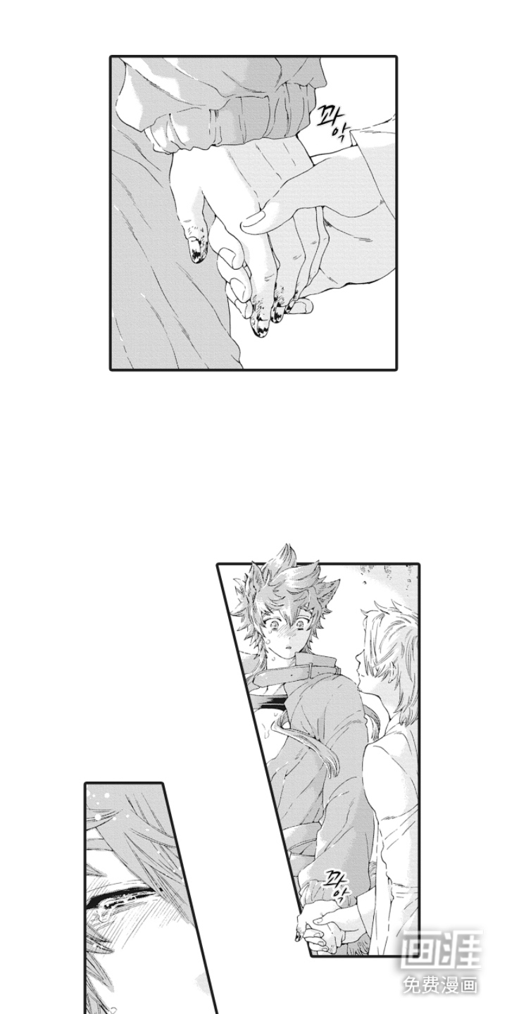 兽耳与听诊器漫画-图11