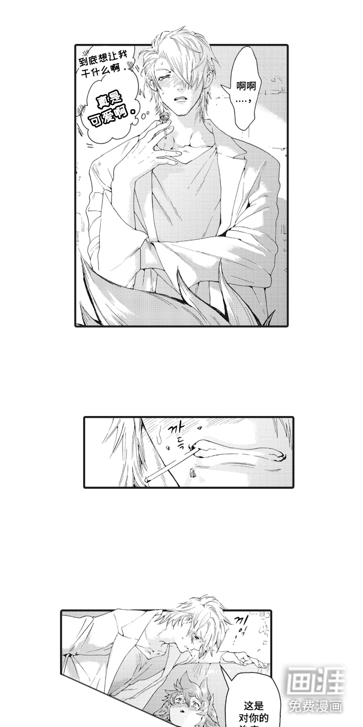 兽耳与听诊器漫画-图12