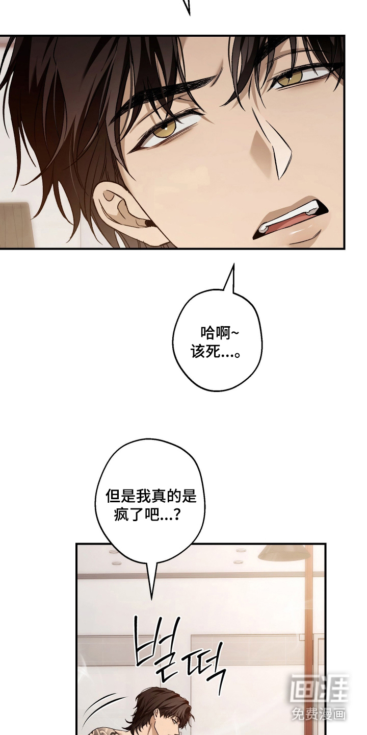 狩猎黑虎漫画-图16