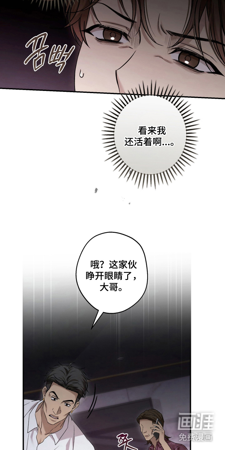 狩猎黑虎漫画-图10