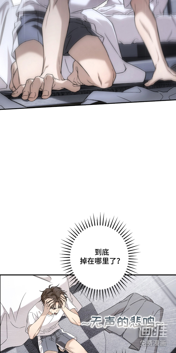 狩猎黑虎漫画-图5