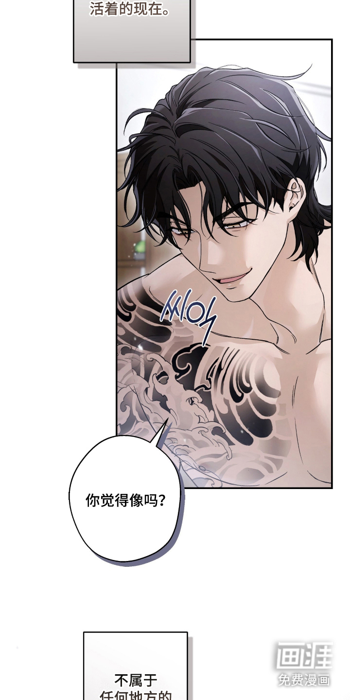 狩猎黑虎漫画-图11