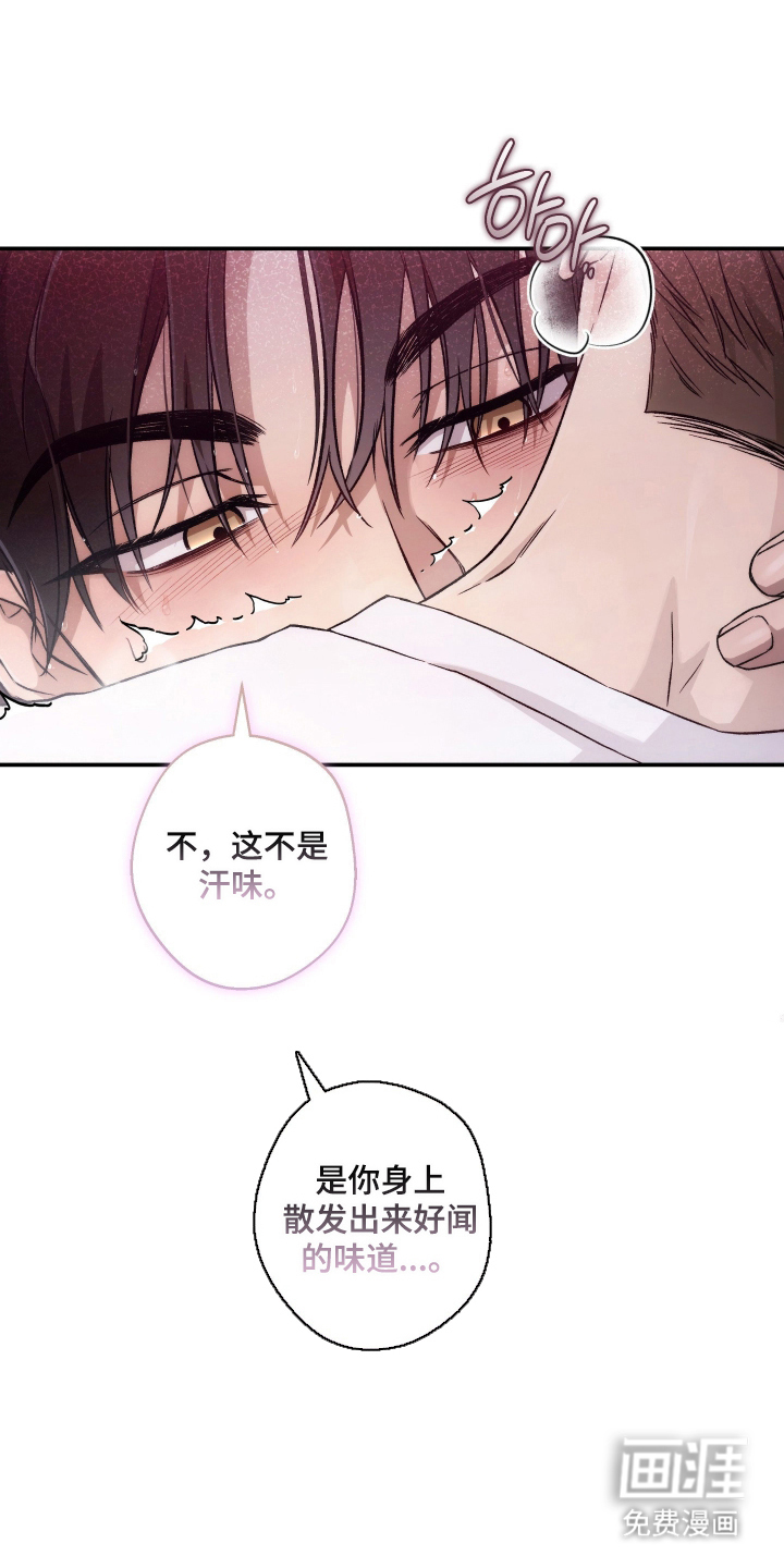 狩猎黑虎漫画-图7