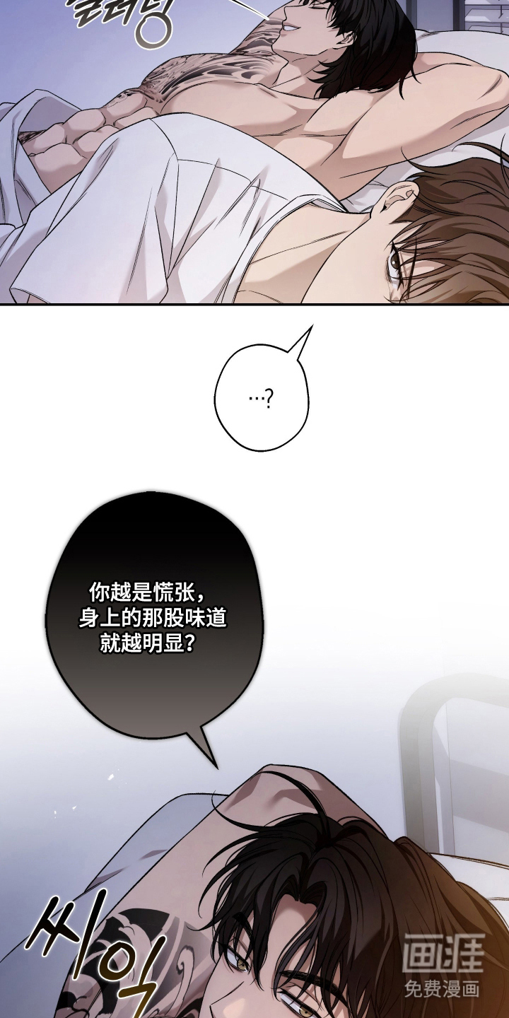 狩猎黑虎漫画-图13