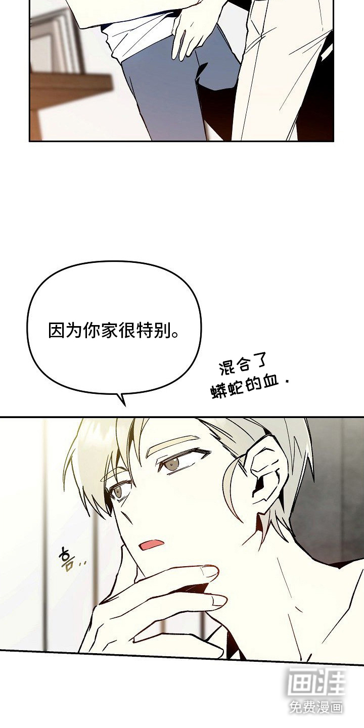 蛇血契约漫画-图13