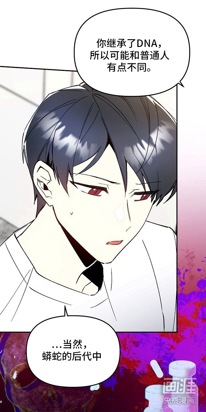 蛇血契约漫画-图14