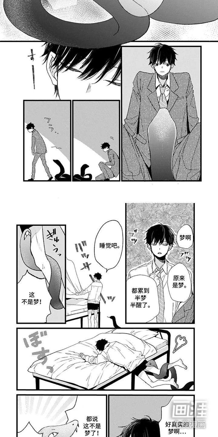 蛇先生请多指教漫画-图3