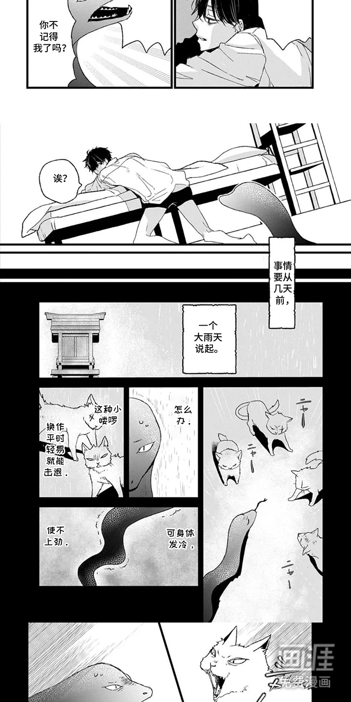 蛇先生请多指教漫画-图4