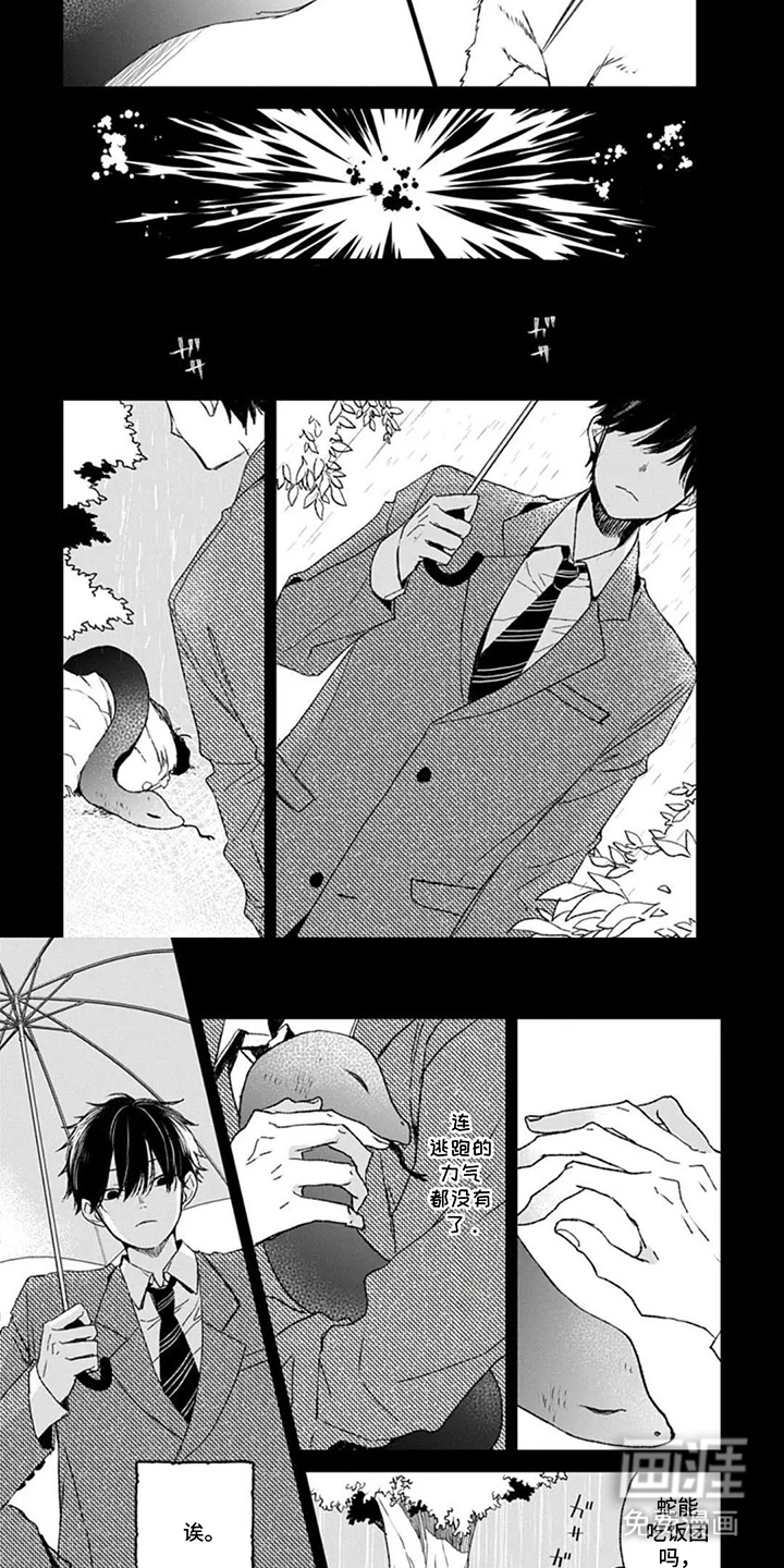 蛇先生请多指教漫画-图5