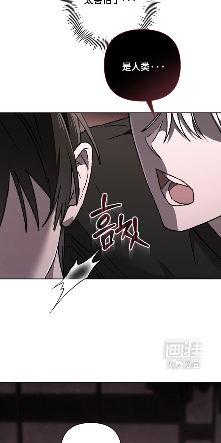 深渊牧羊人漫画-图19