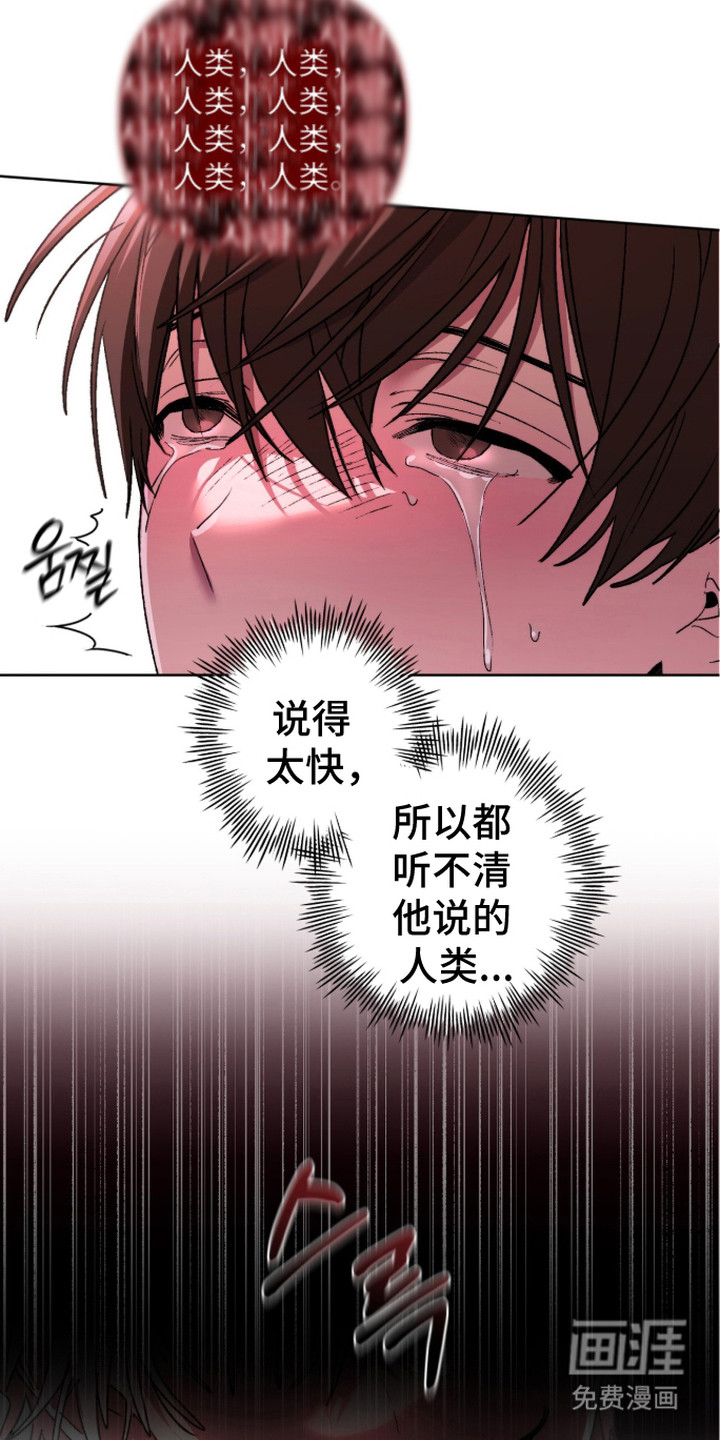 深渊牧羊人漫画-图20
