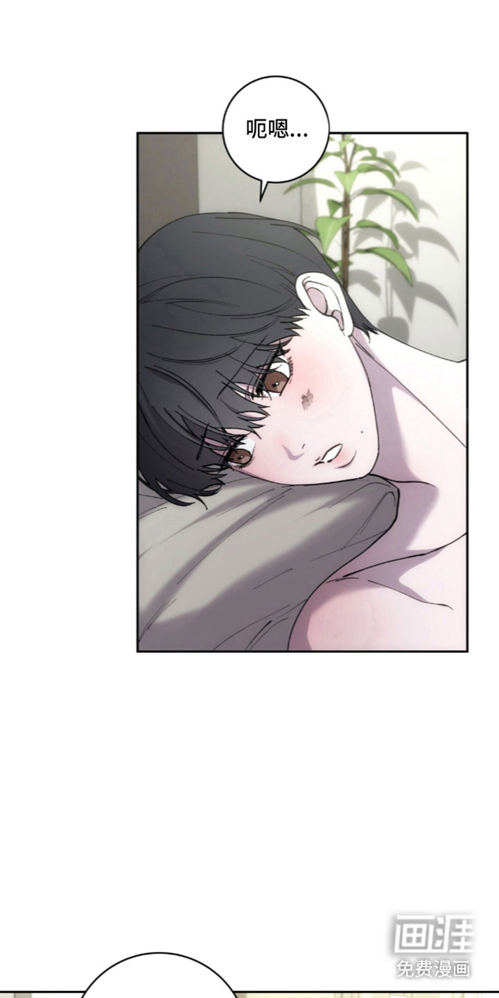 饲养我的宝贝漫画-图17