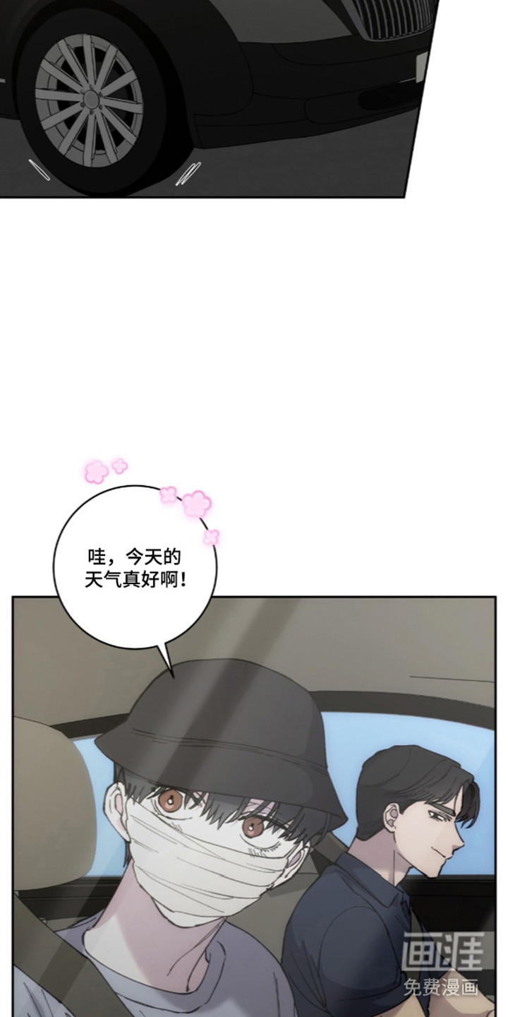 饲养我的宝贝漫画-图10