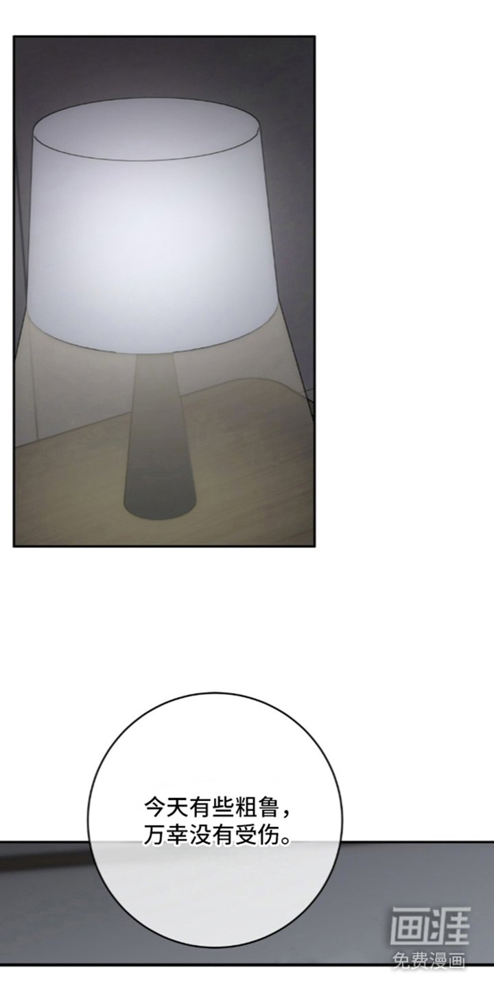 饲养我的宝贝漫画-图0