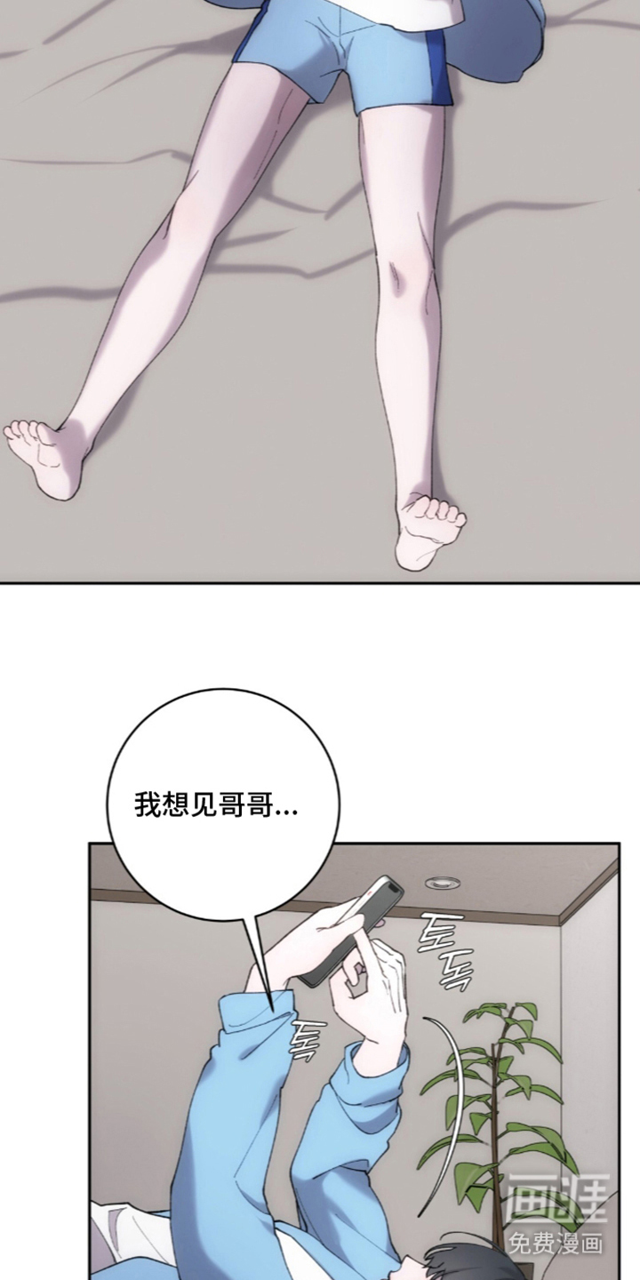 饲养我的宝贝漫画-图14