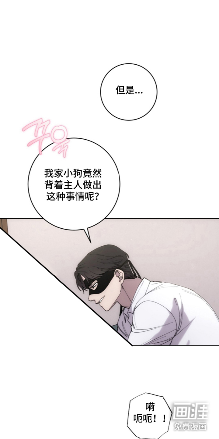 饲养我的宝贝漫画-图16