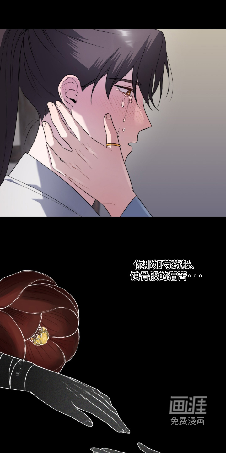 神性共享漫画-图15
