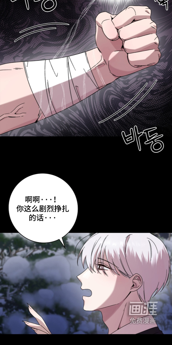 神性共享漫画-图19