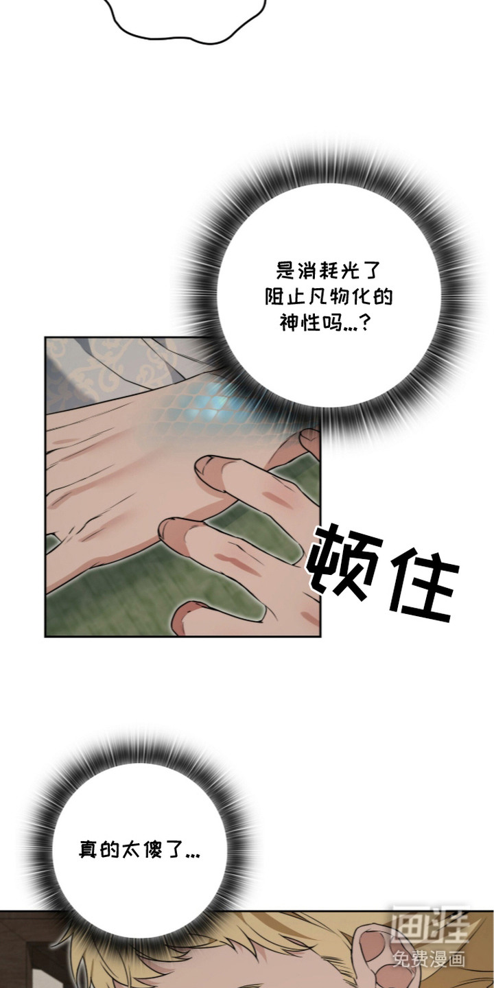神性共享漫画-图14