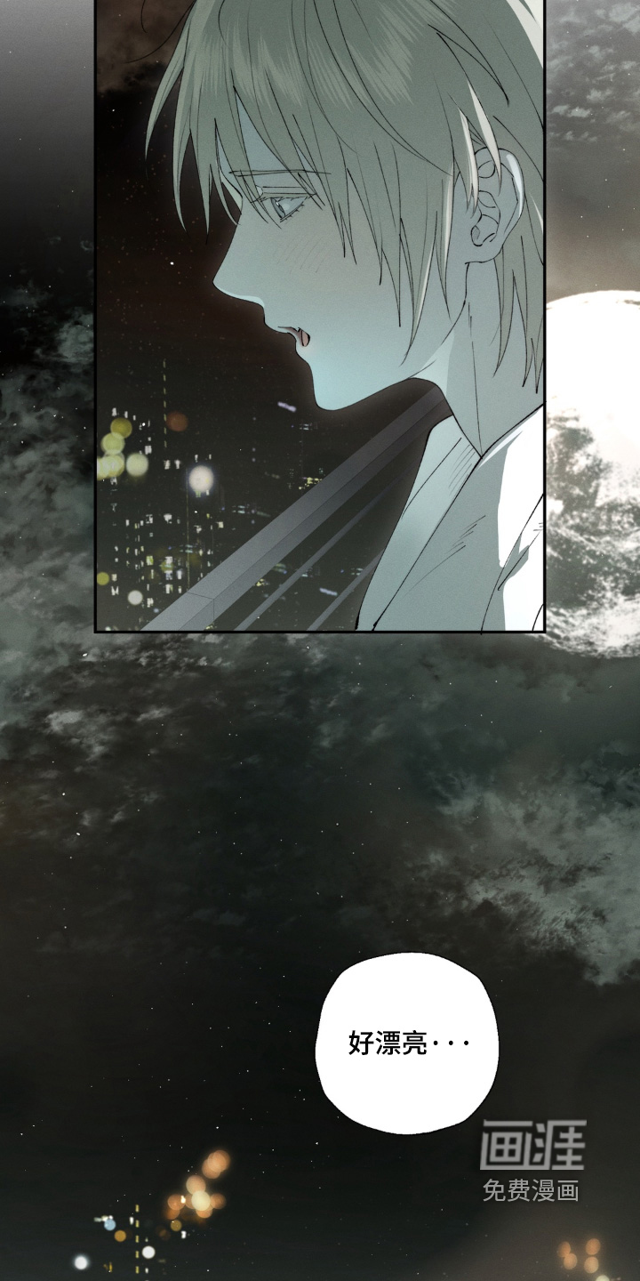 锁链铃铛漫画-图11