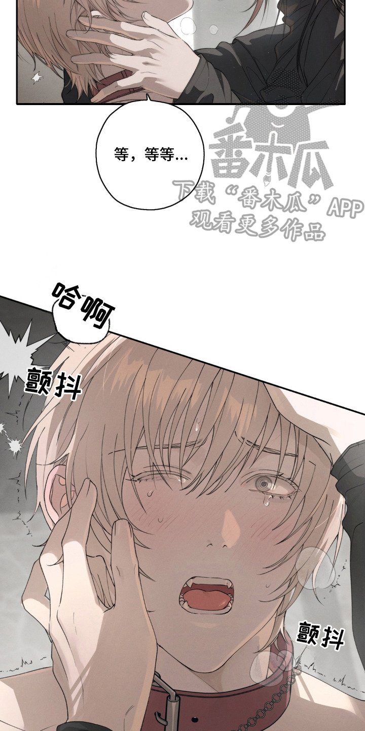 锁链铃铛漫画-图13