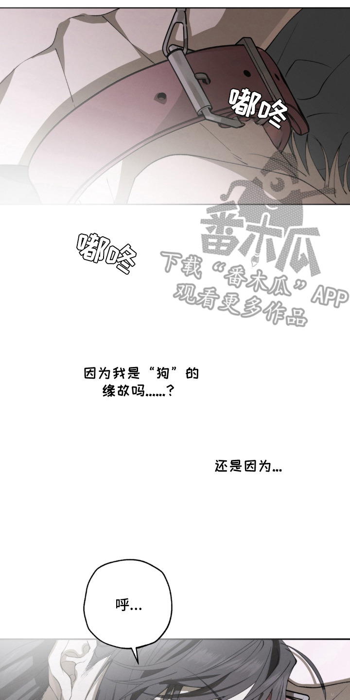 preload