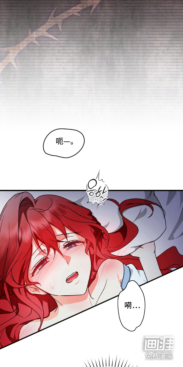 圣洁之罪漫画-图5