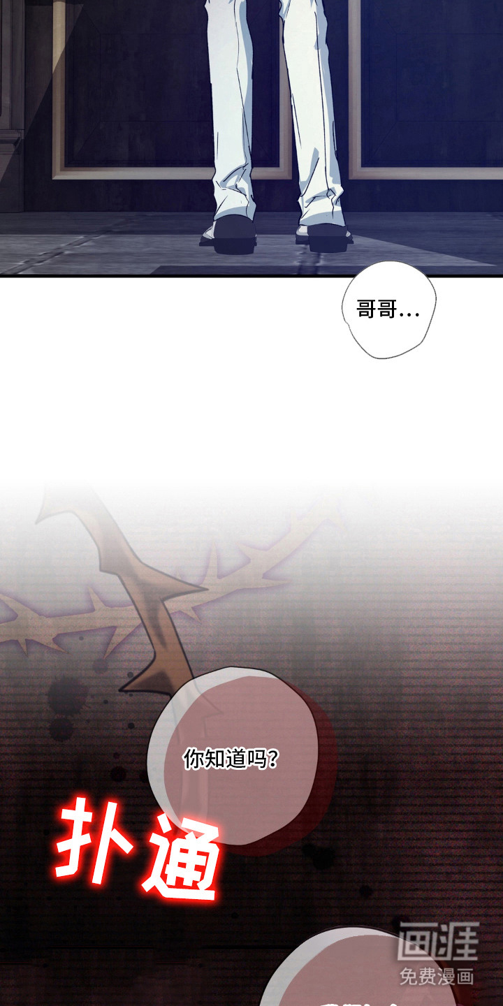 圣洁之罪漫画-图14