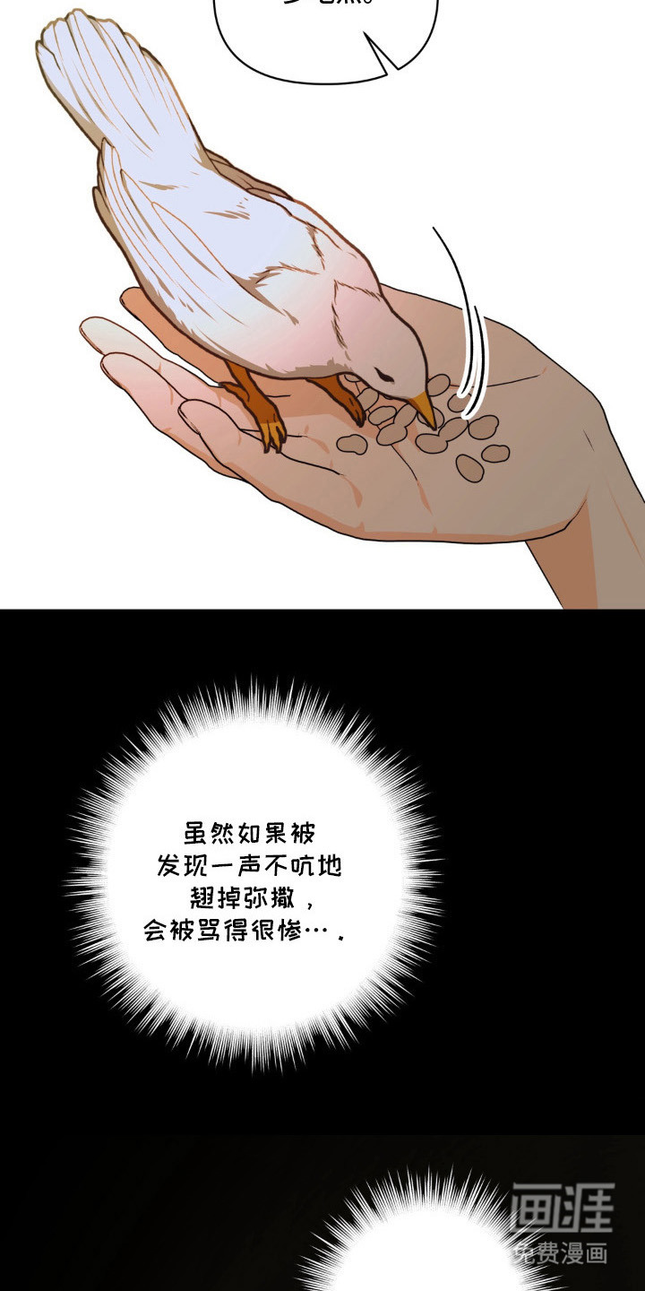圣洁之罪漫画-图6