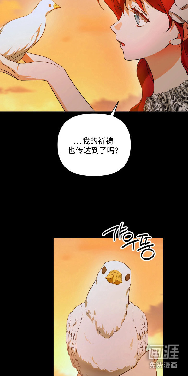 圣洁之罪漫画-图13