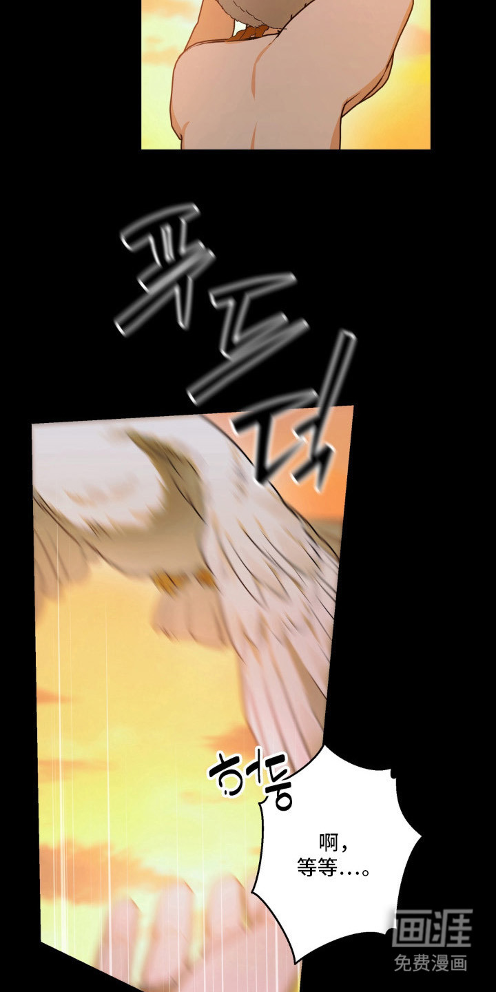 圣洁之罪漫画-图14