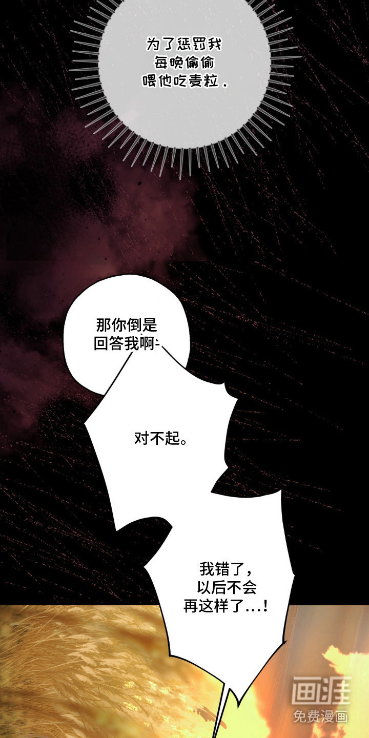 圣洁之罪漫画-图5