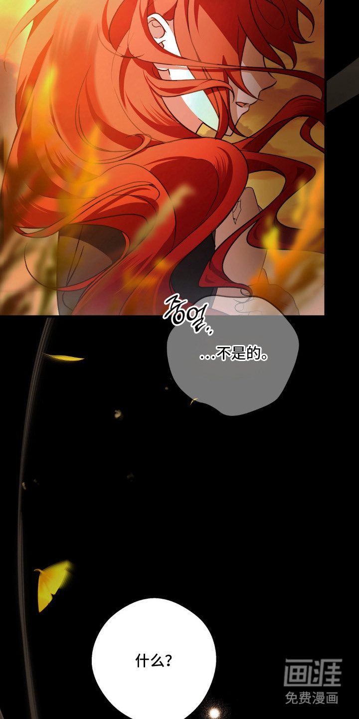 圣洁之罪漫画-图17