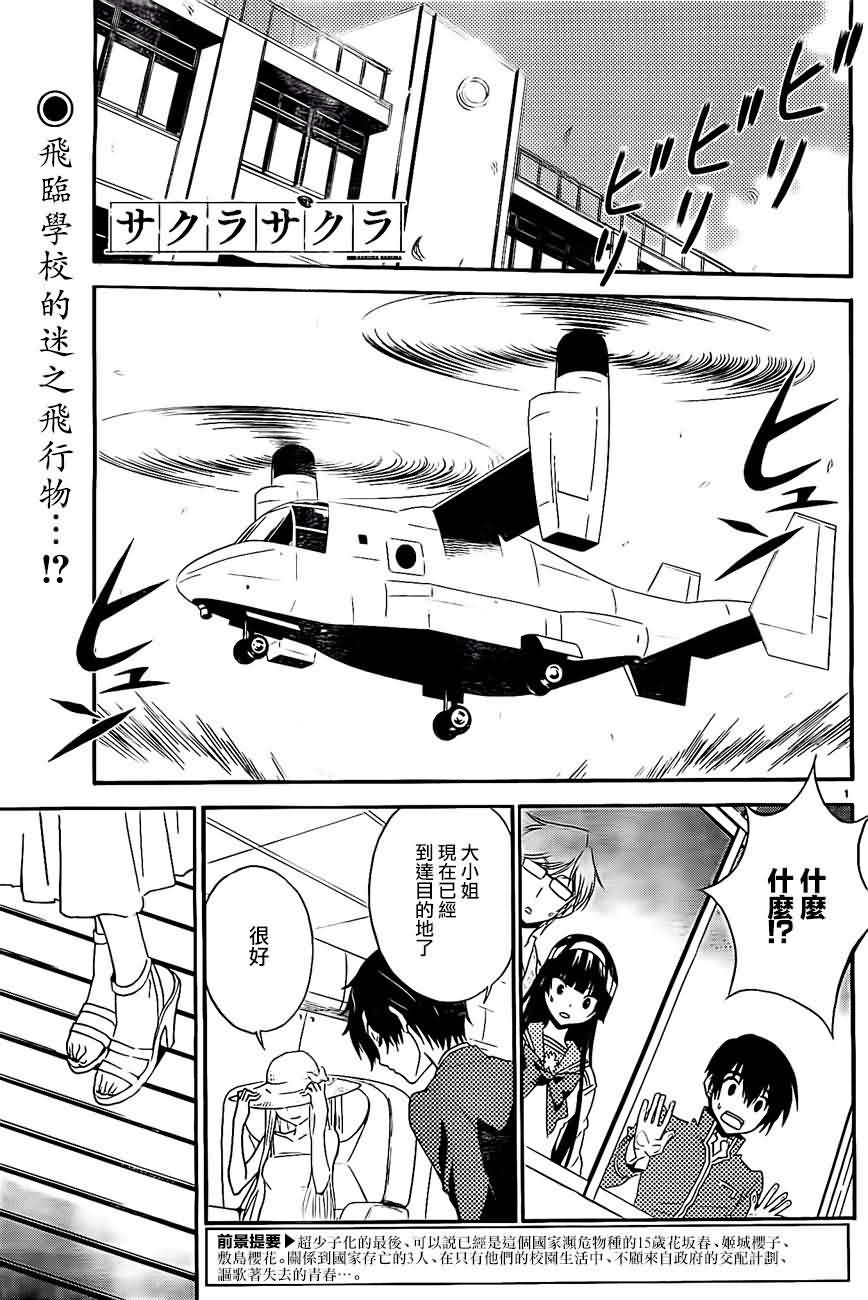 Sakura Sakura第13话图