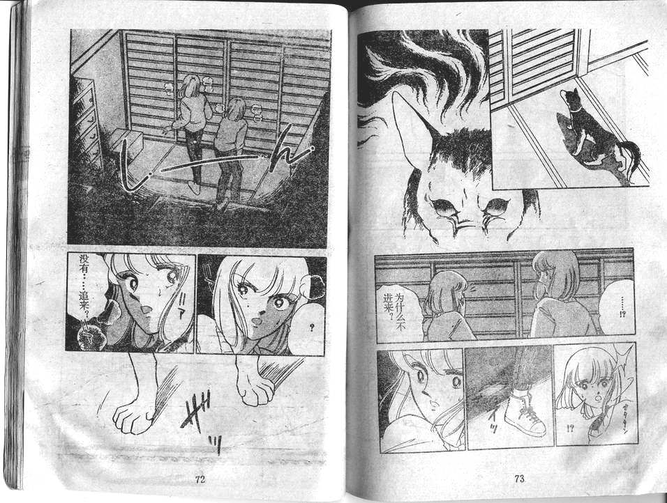 双胞少女 第28话 第36页