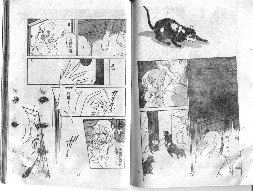 双胞少女 第28话 第37页