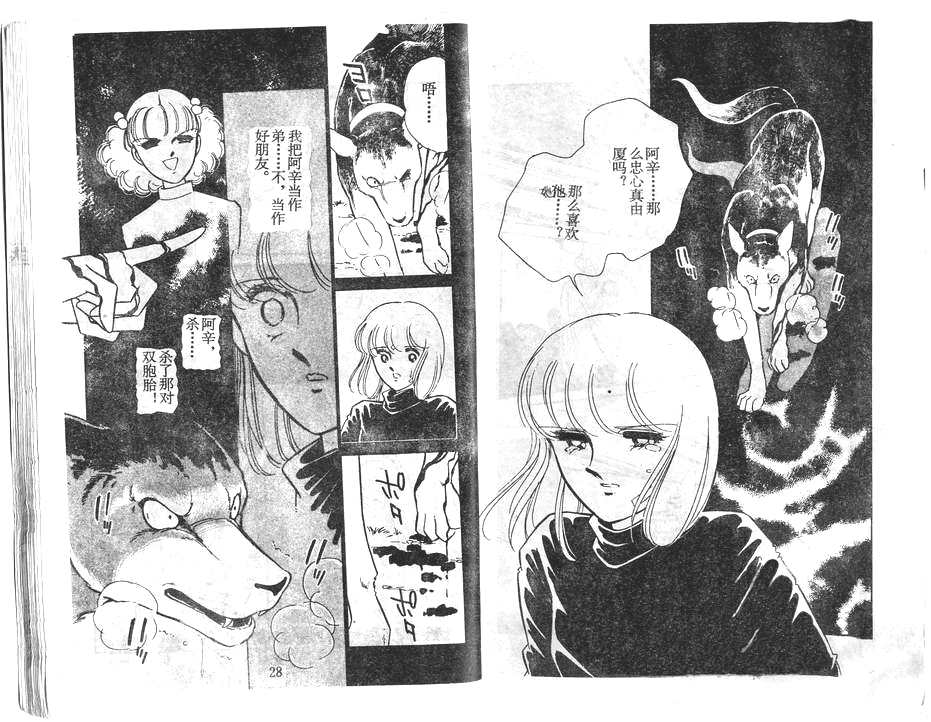 双胞少女 第29话 第14页