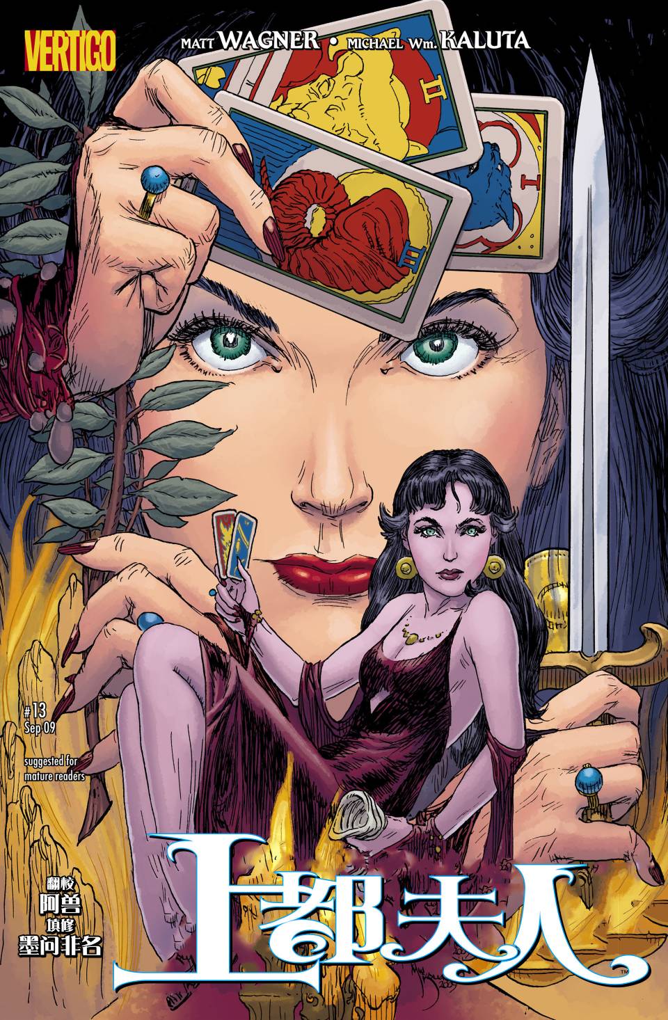 上都夫人第13卷图