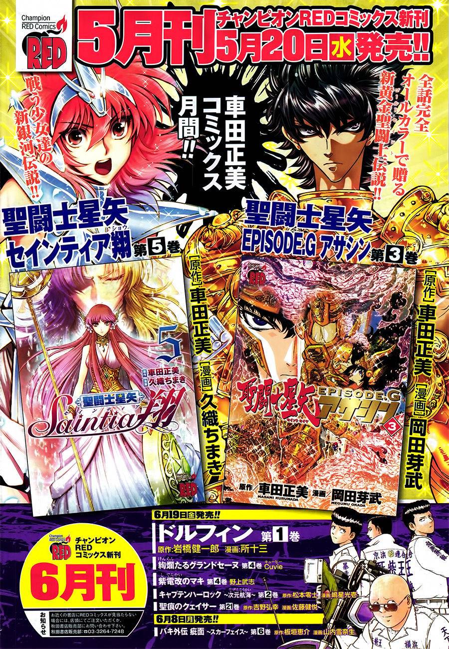 圣斗士星矢 圣斗少女翔第22话图