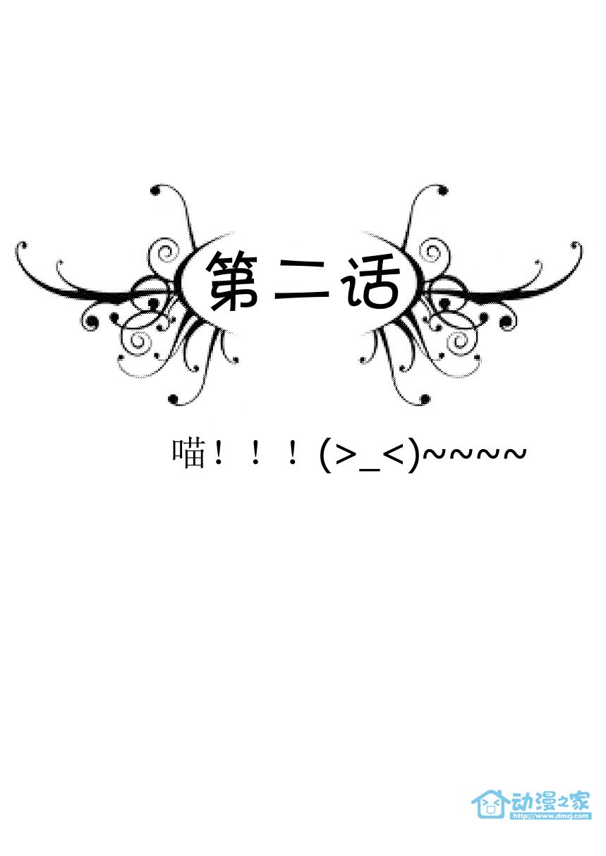 帅哥计划第2话图