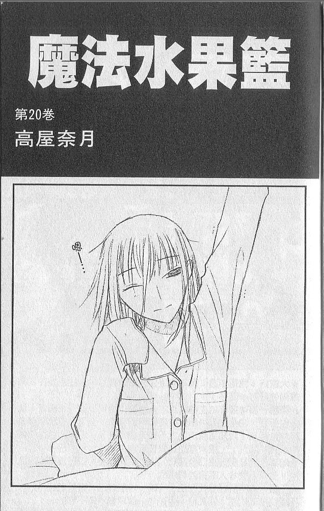 水果篮子第20卷图