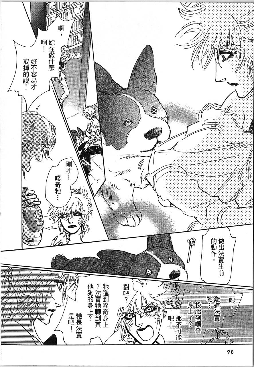 帅哥与通灵猫第4卷图