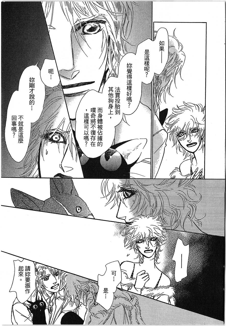 帅哥与通灵猫第4卷图