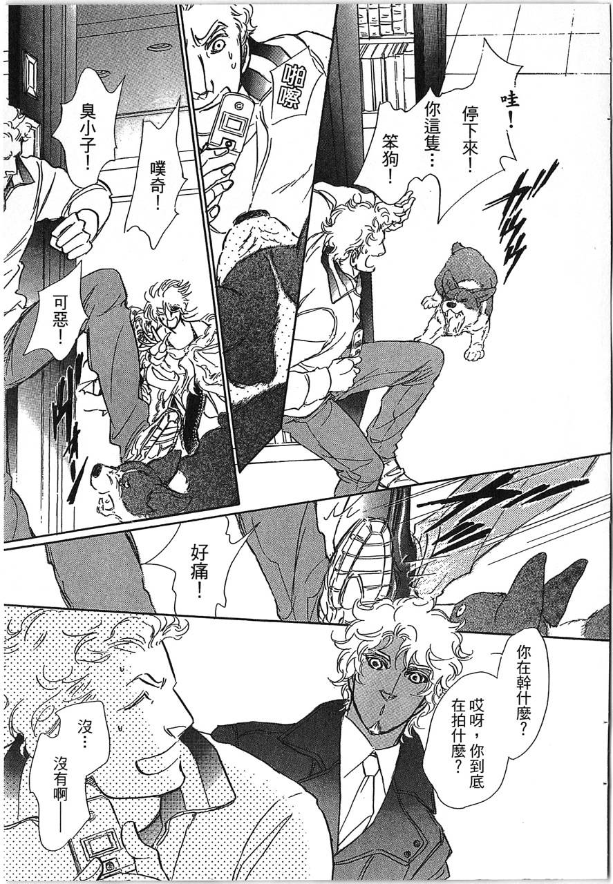 帅哥与通灵猫第4卷图