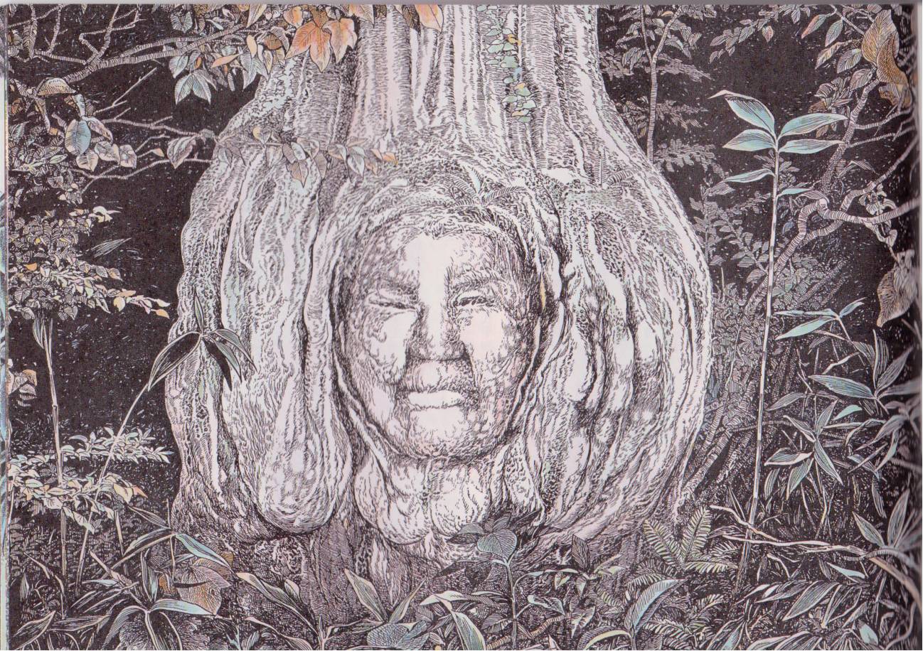 水木茂的日本神怪图鉴全1卷图