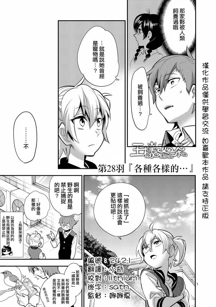 少女猛禽第28话图