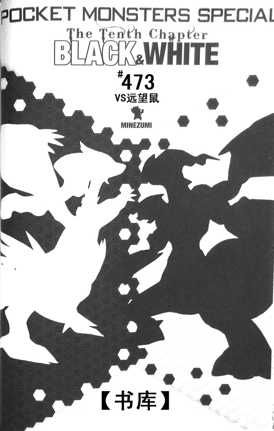 神奇宝贝特别篇第45卷图