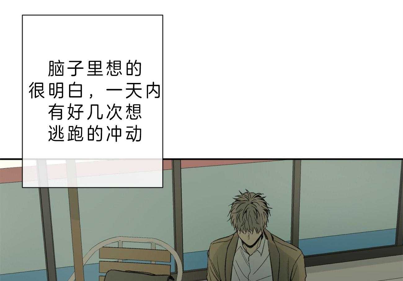 同情的形式（共3季） 第102话 第53页