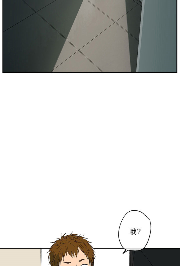 同情的形式（共3季） 第16话 第29页